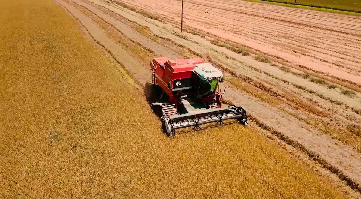 Receituário agronômico digital com mais agilidade: Case Juriti